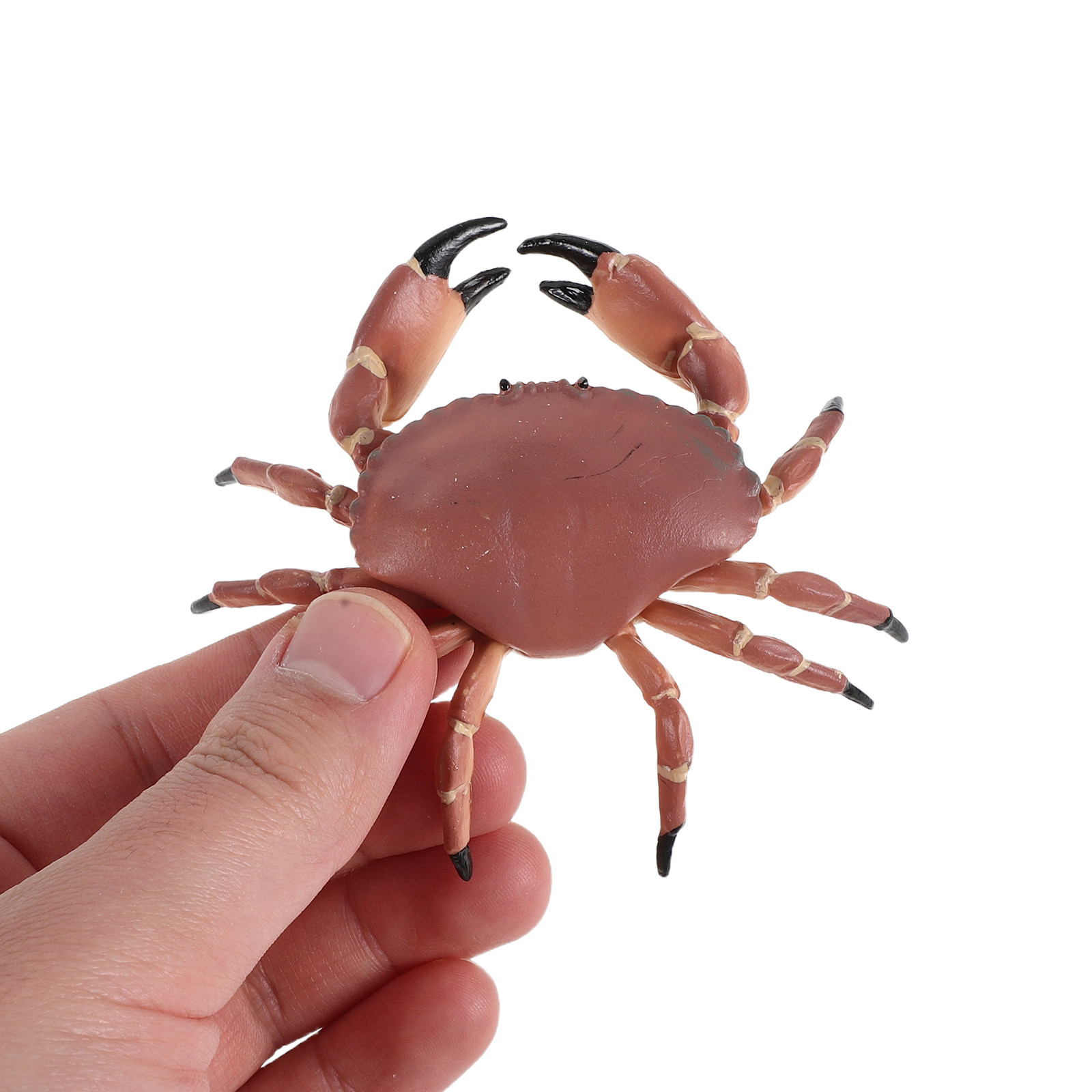 Marine Aquarium Europe - 3Pcs Realistic Plastic Crab Figures Lifelike