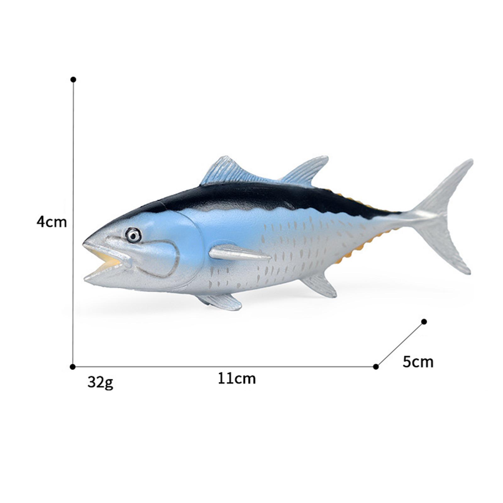 Marine Zoo - Simulation Marine Animal Model Realistic Sea