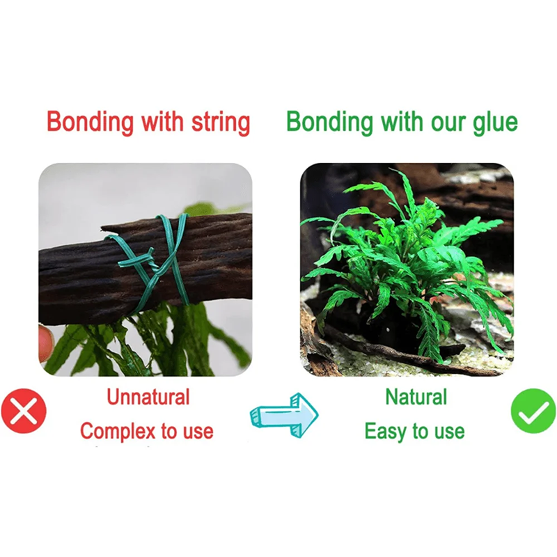 50/100g  Aquarium Landscaping  - đánh giá và giá Marine Aquarium Epoxy