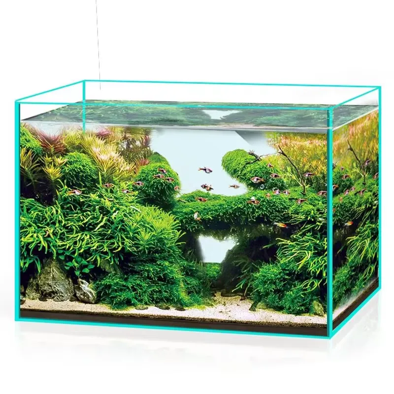 Ultra Clear Glass Aquarium Fis - đánh giá và giá Aquarium Marine Clearwater