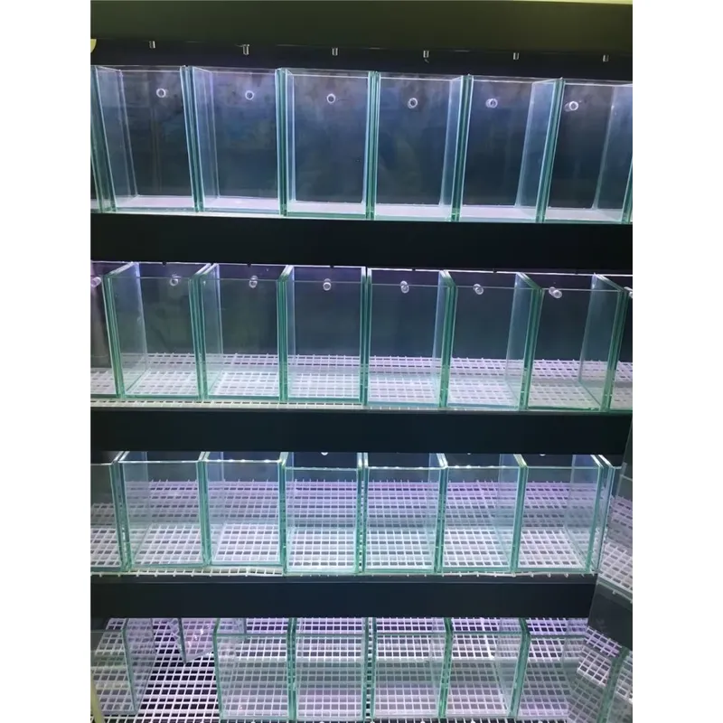 Ultra Clear Glass Aquarium Fis - đánh giá và giá Aquarium Marine Clearwater