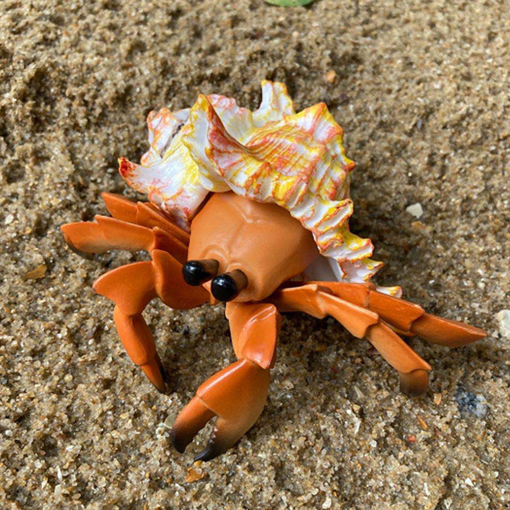 Simulation Hermit Crab Artific - đánh giá và giá Marine Aquarium Europe
