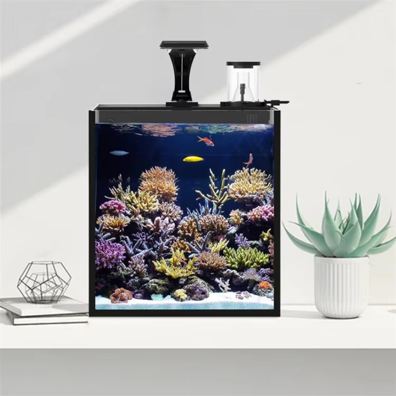 Ultra Clear Glass Mini Salt Wa - đánh giá và giá Aquarium Marine Clearwater
