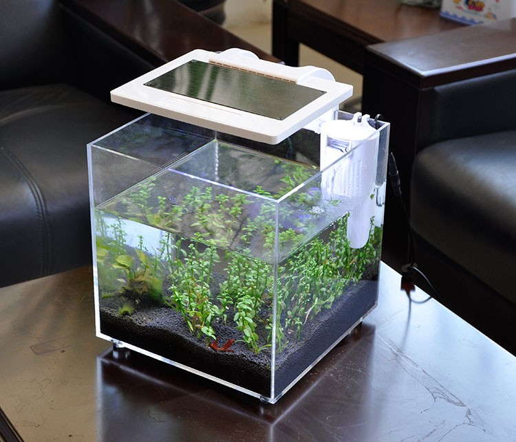 Mini Acrylic (25*25*25cm) Sale - đánh giá và giá Aquarium Marina