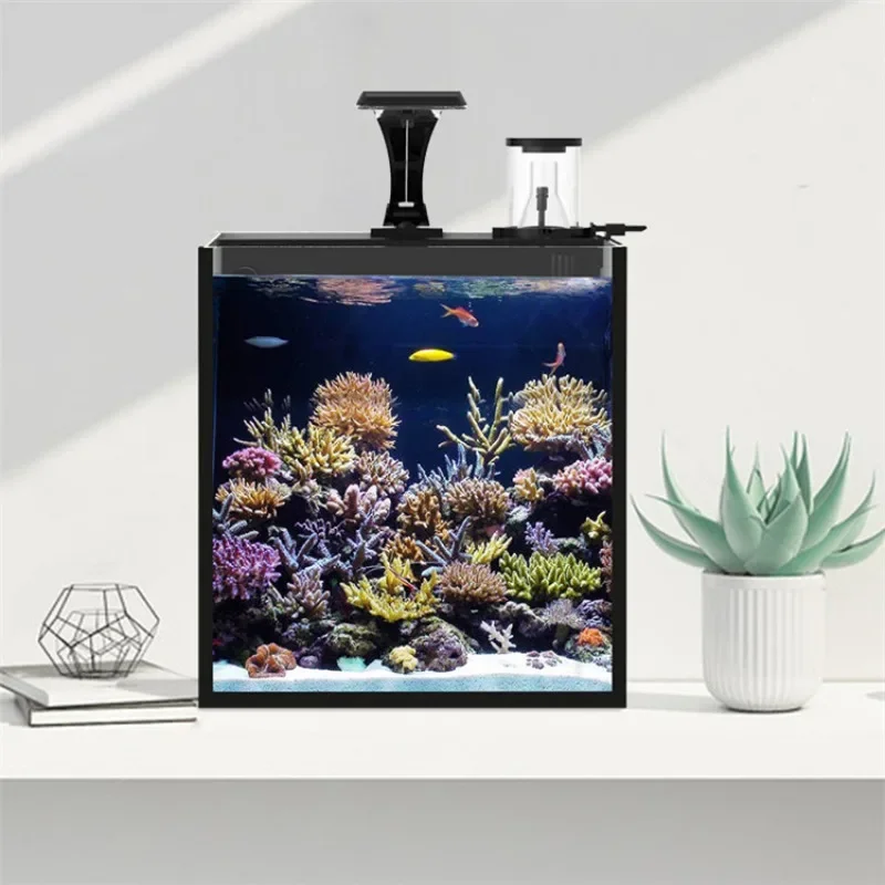 Hot sales Ultra Clear Glass Mi - đánh giá và giá Aquarium Marine Clearwater