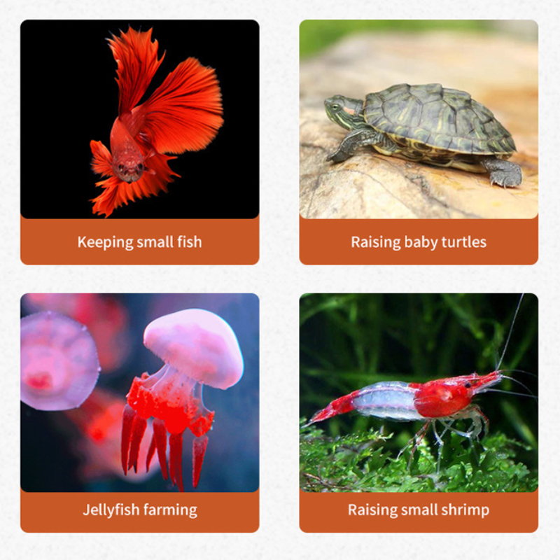 Aquarium Mini Fish Tank Reptil - đánh giá và giá Aquarium Marina