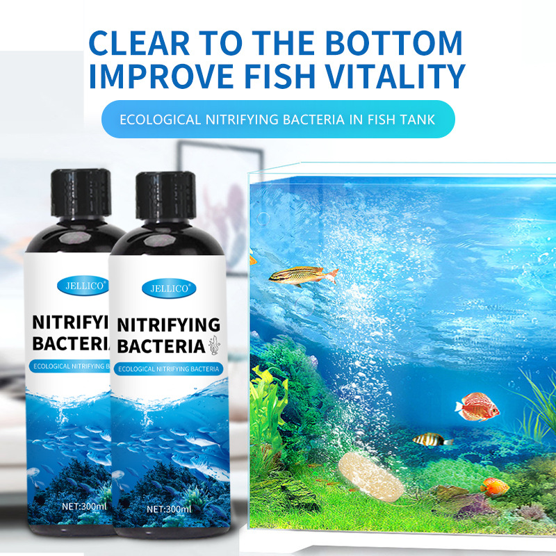 300ml Nitrifying Bacteria Aqua - đánh giá và giá Aquarium Marine Clearwater