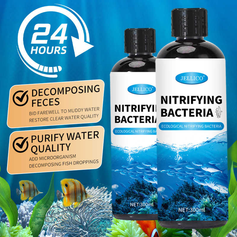 300ml Nitrifying Bacteria Aqua - đánh giá và giá Aquarium Marine Clearwater