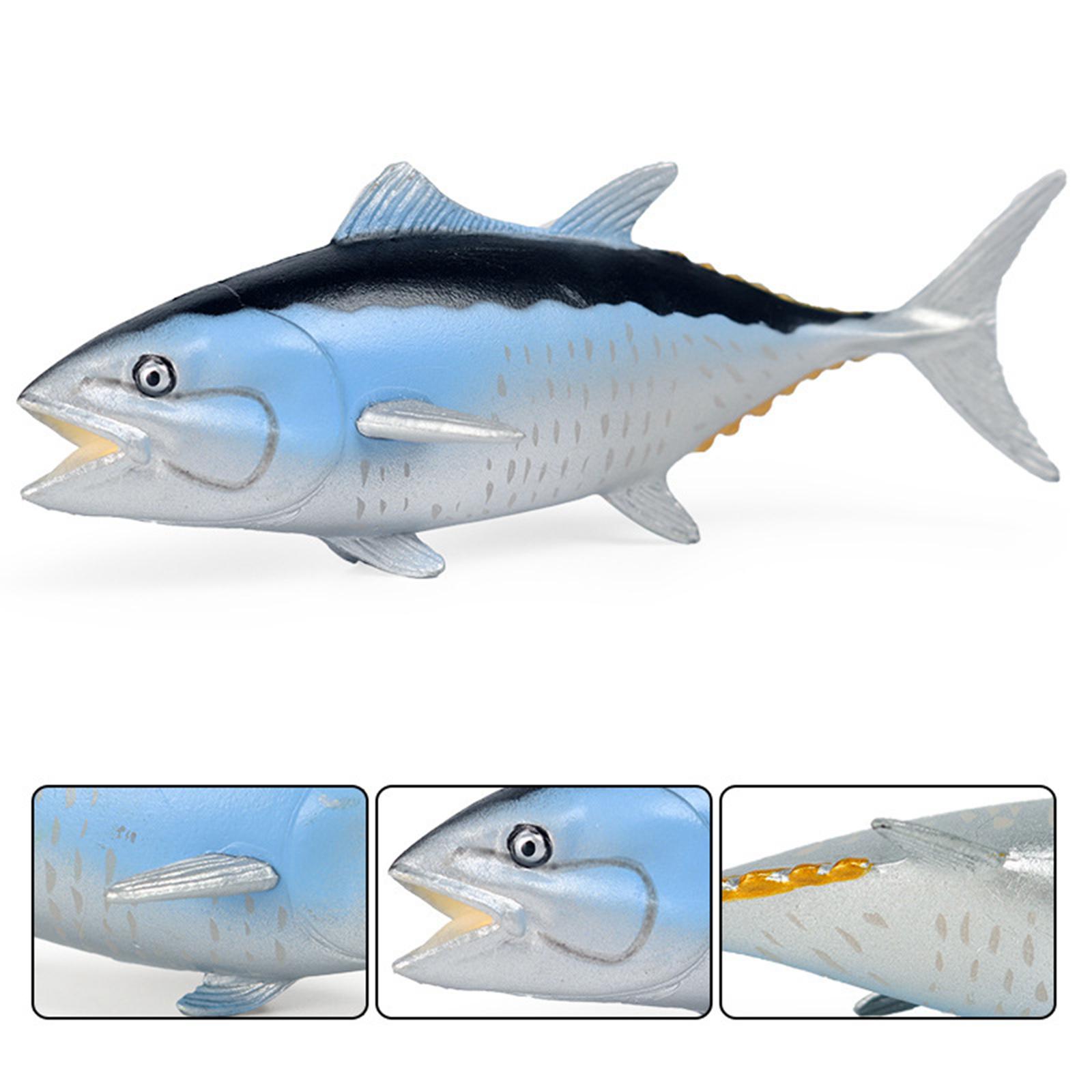 Simulation Marine Animal Model - đánh giá và giá Marine Zoo